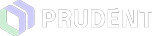 Prudent Consulting INC  Logo